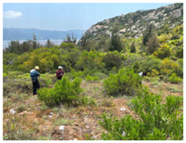 Remotesensing 16 01652 i012