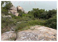 Remotesensing 16 01652 i018