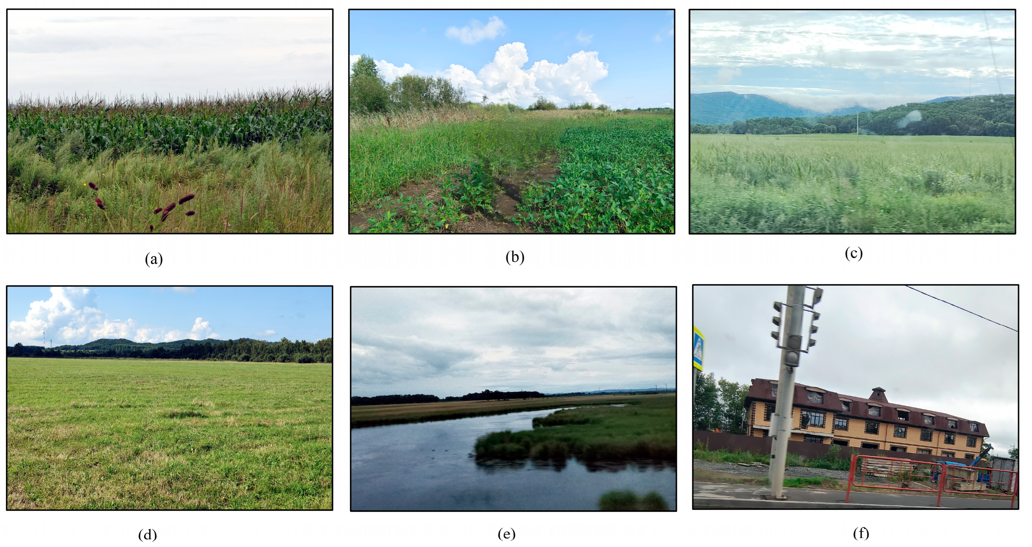 Remotesensing 16 01670 g003 Remotesensing 16 01670 g003