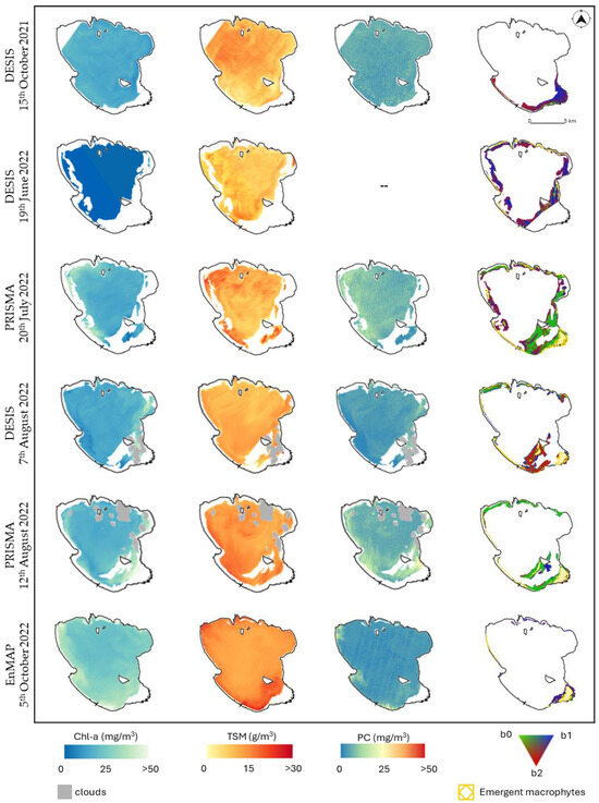 Remotesensing 16 01704 g006b