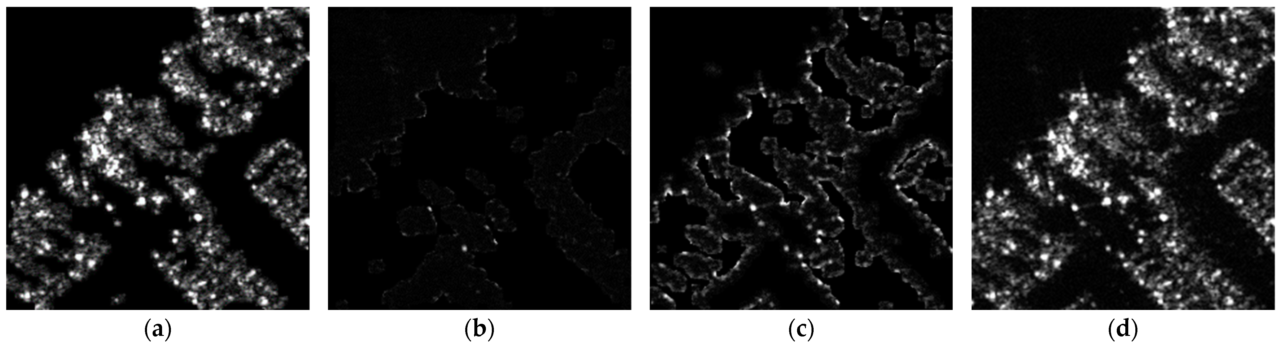 Remotesensing 16 01708 g014