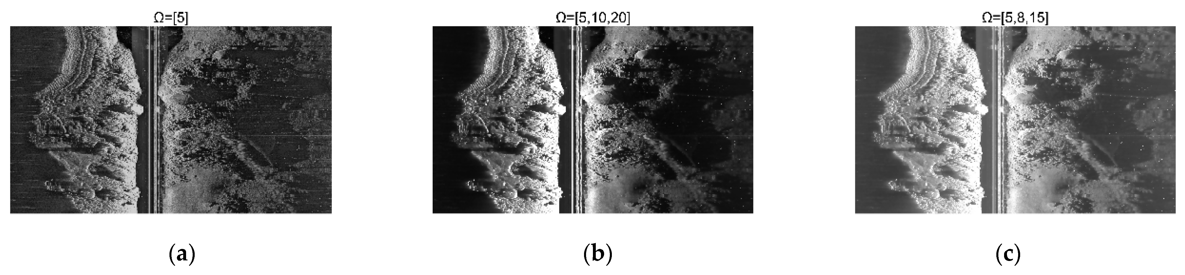 Remotesensing 16 01752 g008