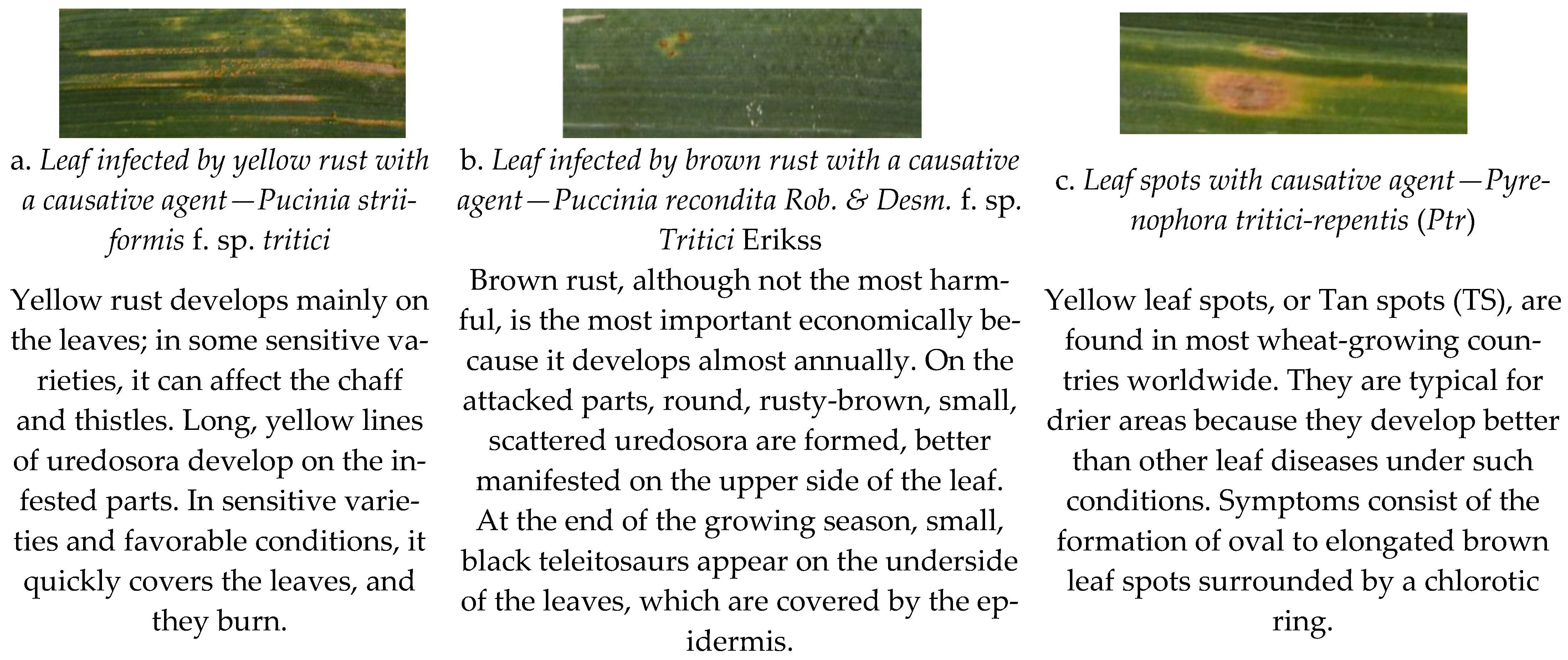 Remotesensing 16 01762 g001