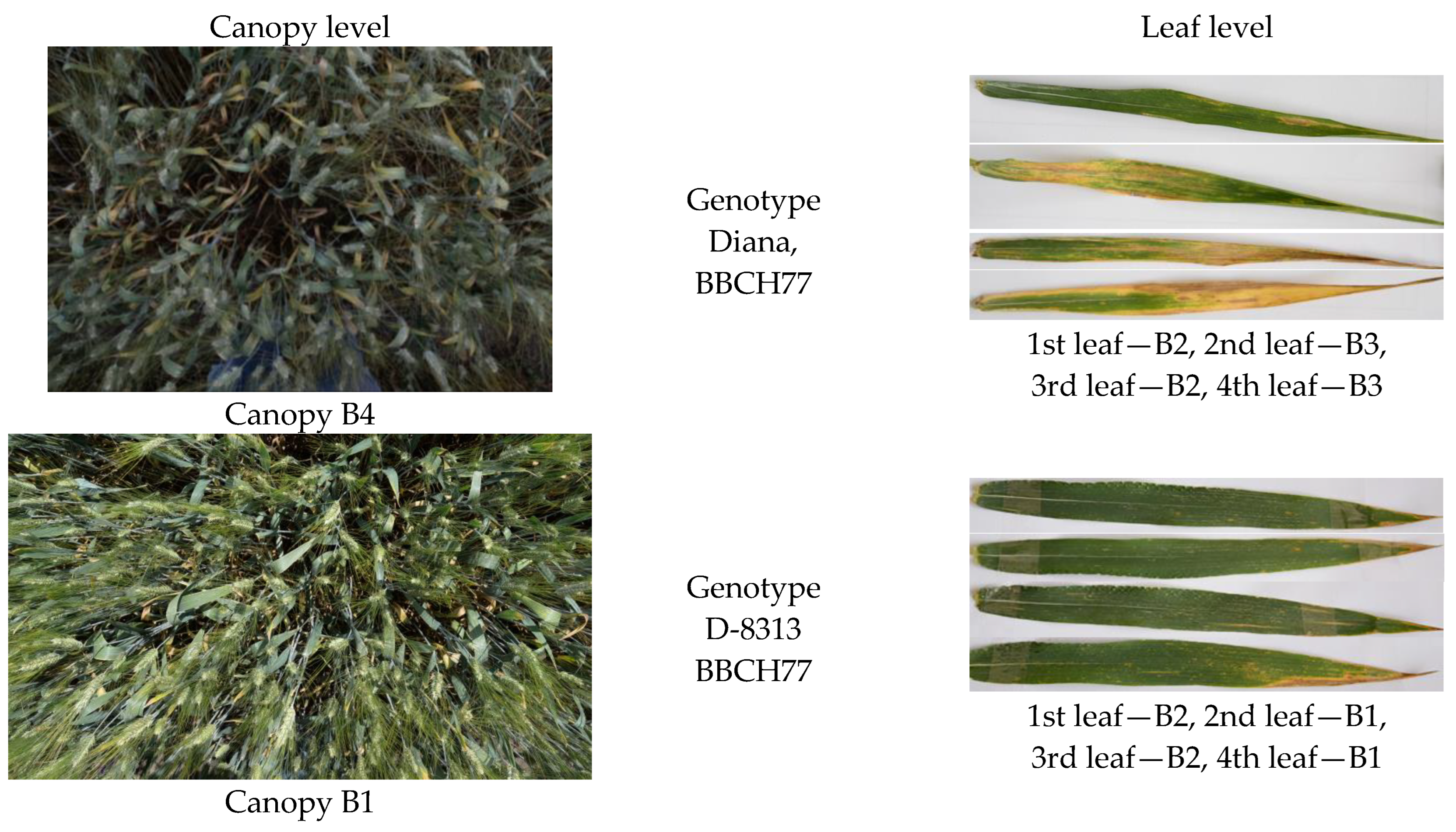 Remotesensing 16 01762 g004a