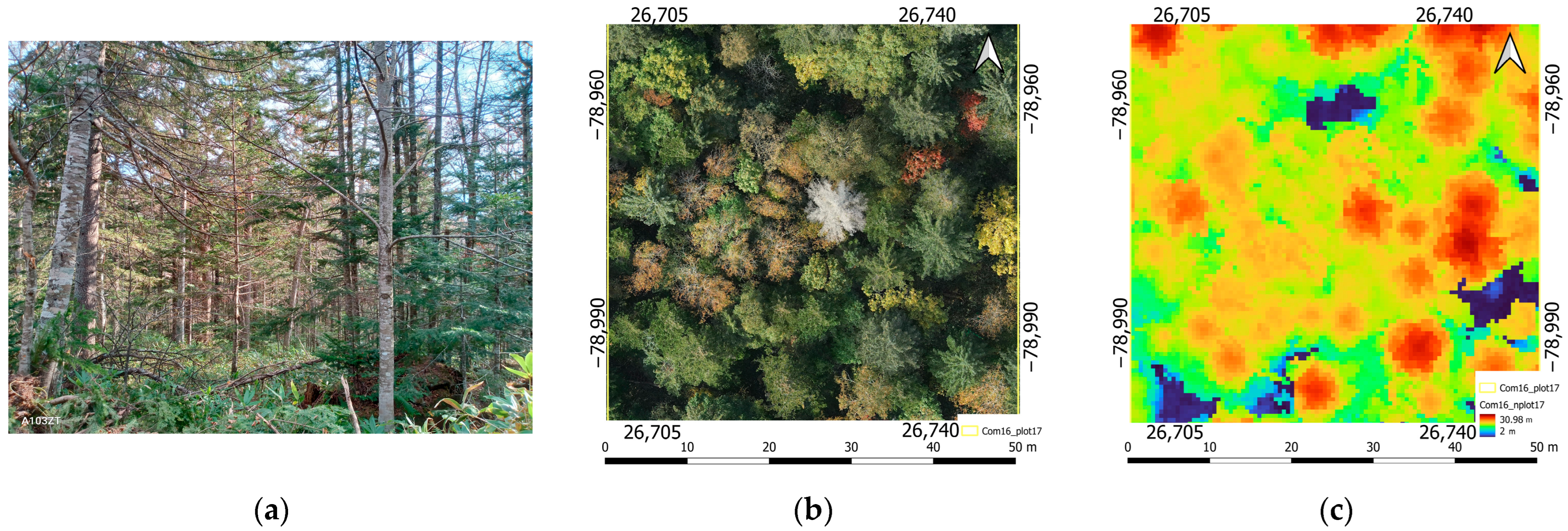 Remotesensing 16 01783 g005