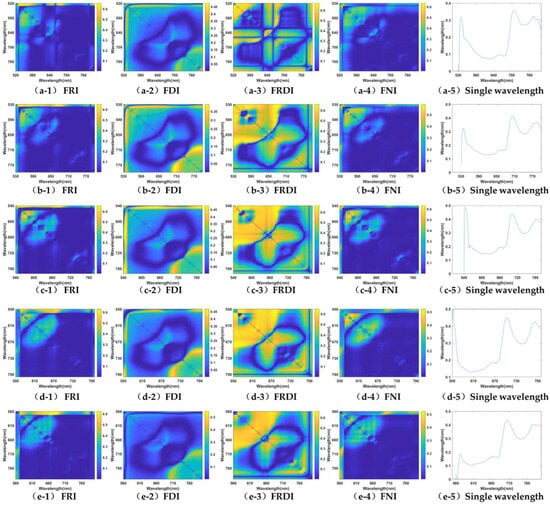 Remotesensing 16 01885 g0a5