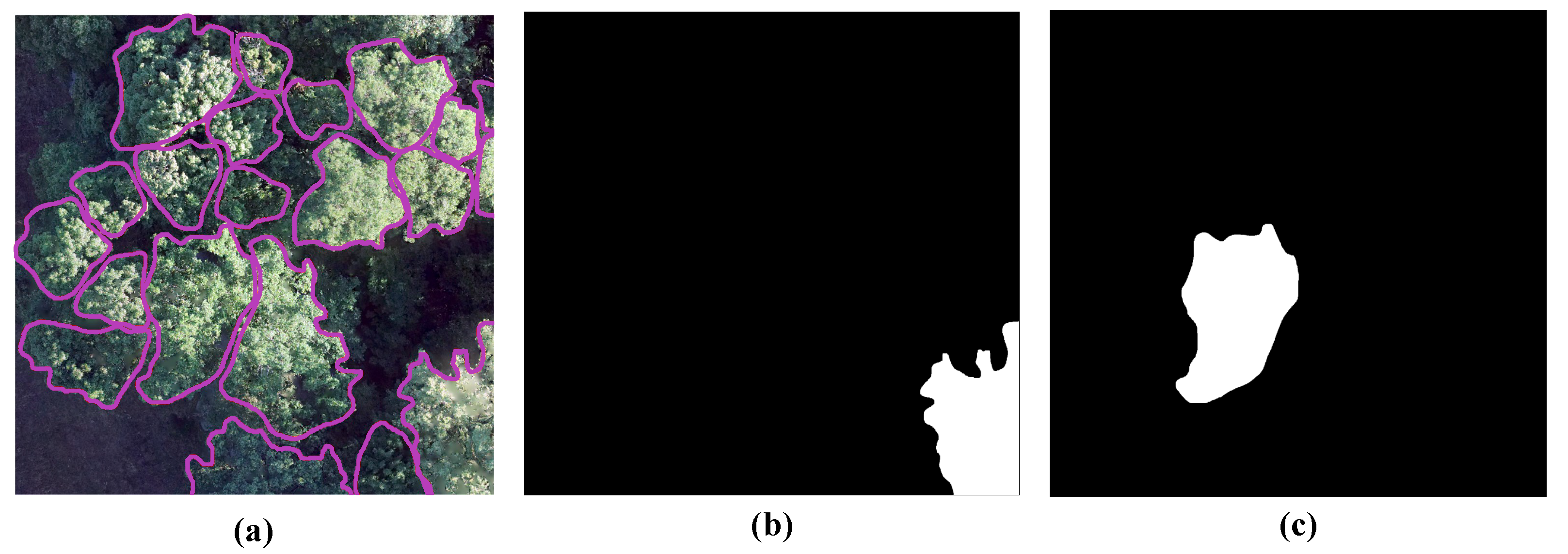 Remotesensing 16 01935 g005
