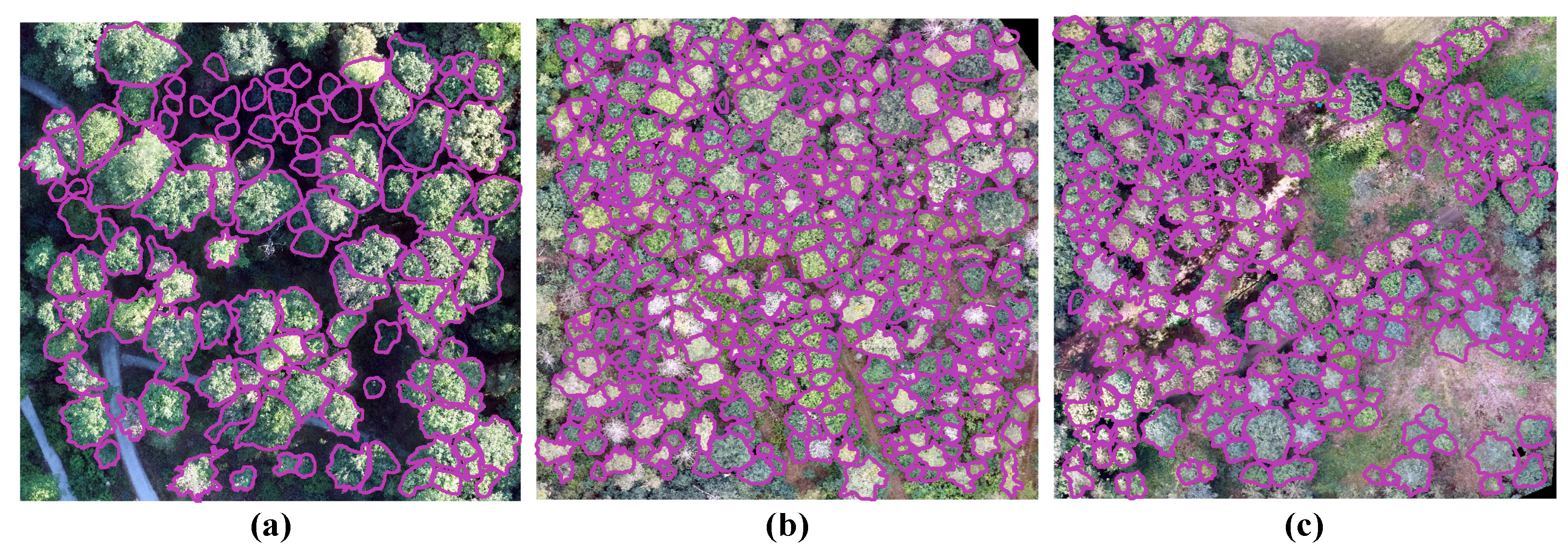 Remotesensing 16 01935 g006
