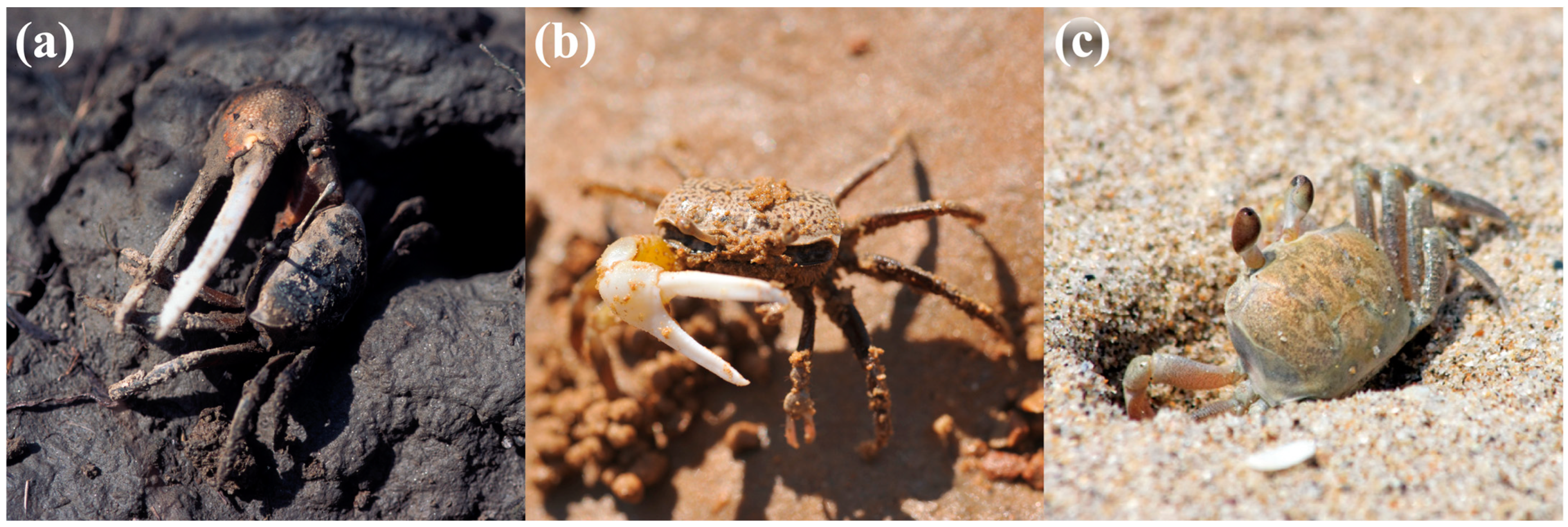 Remotesensing 16 01941 g002