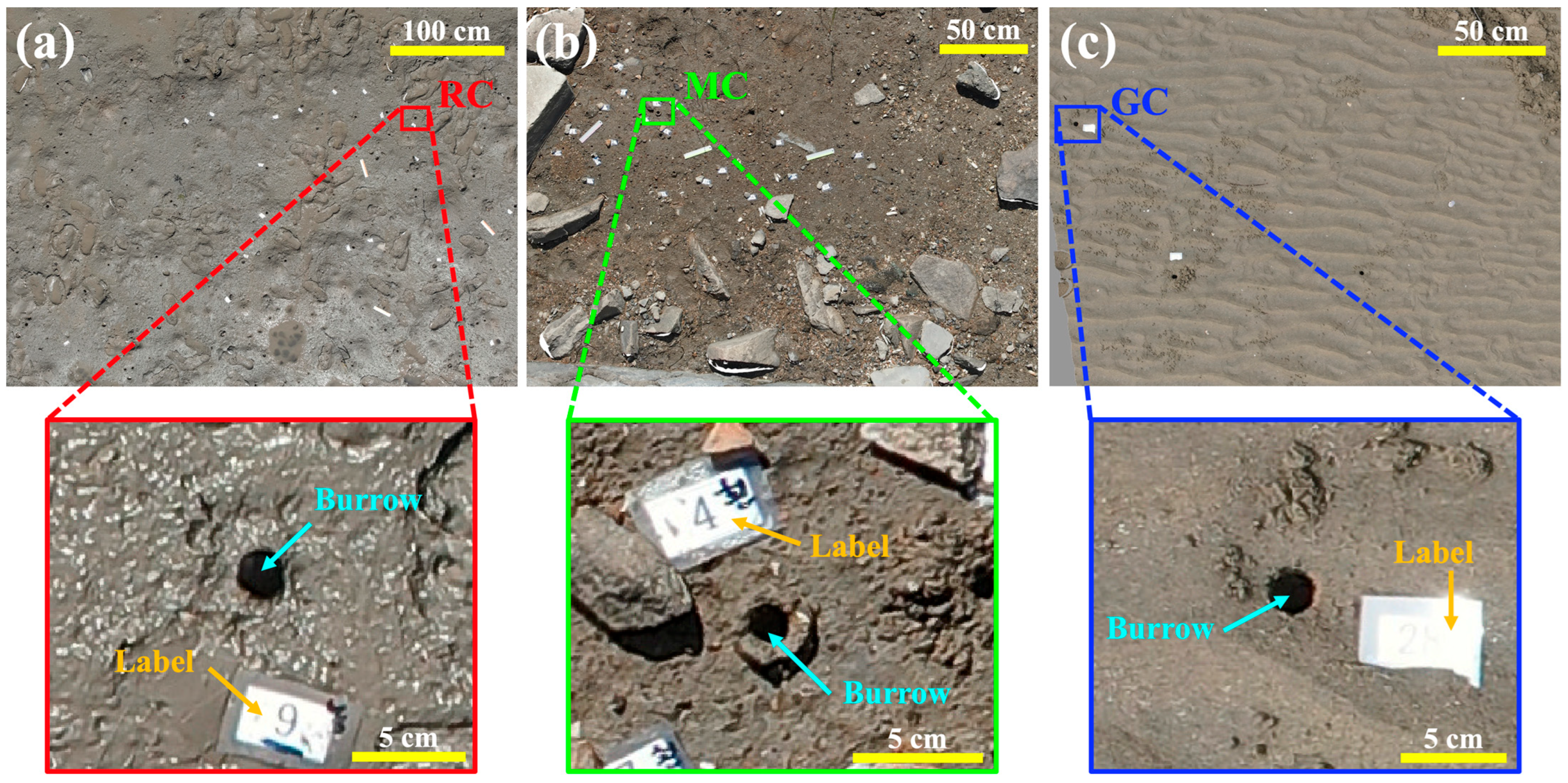 Remotesensing 16 01941 g003