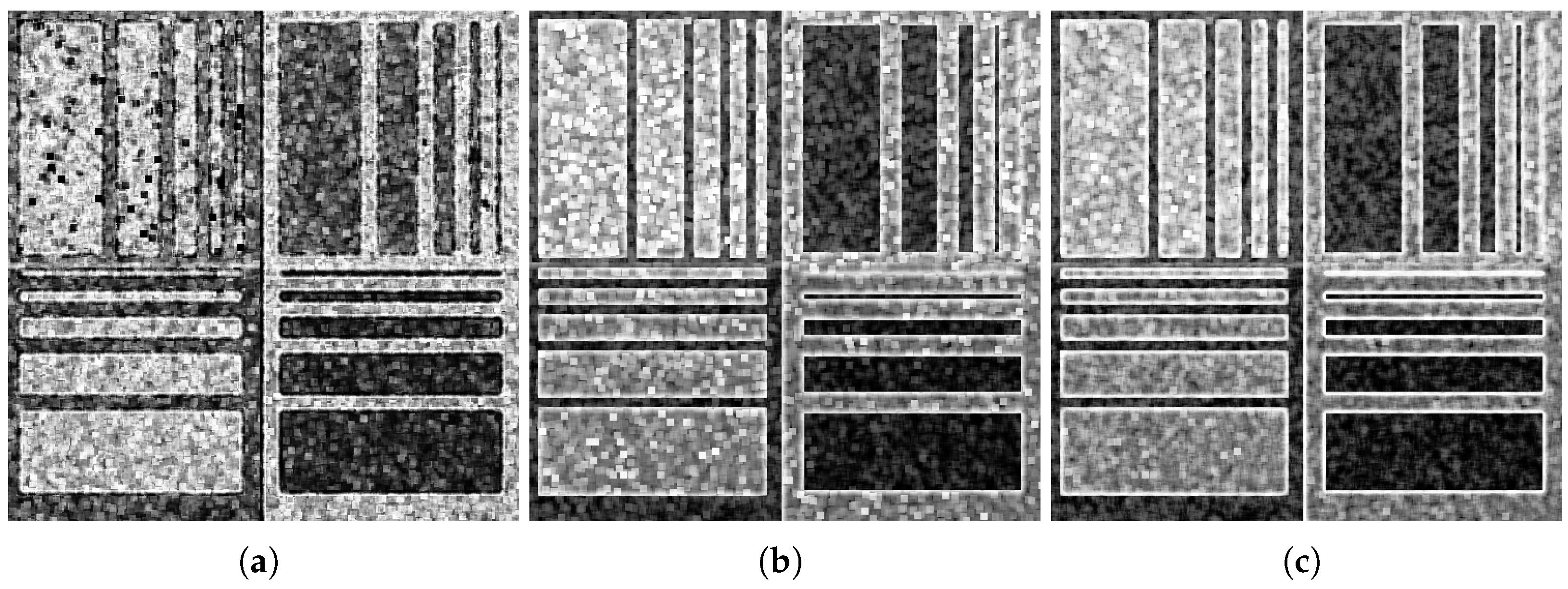 Remotesensing 16 01973 g010