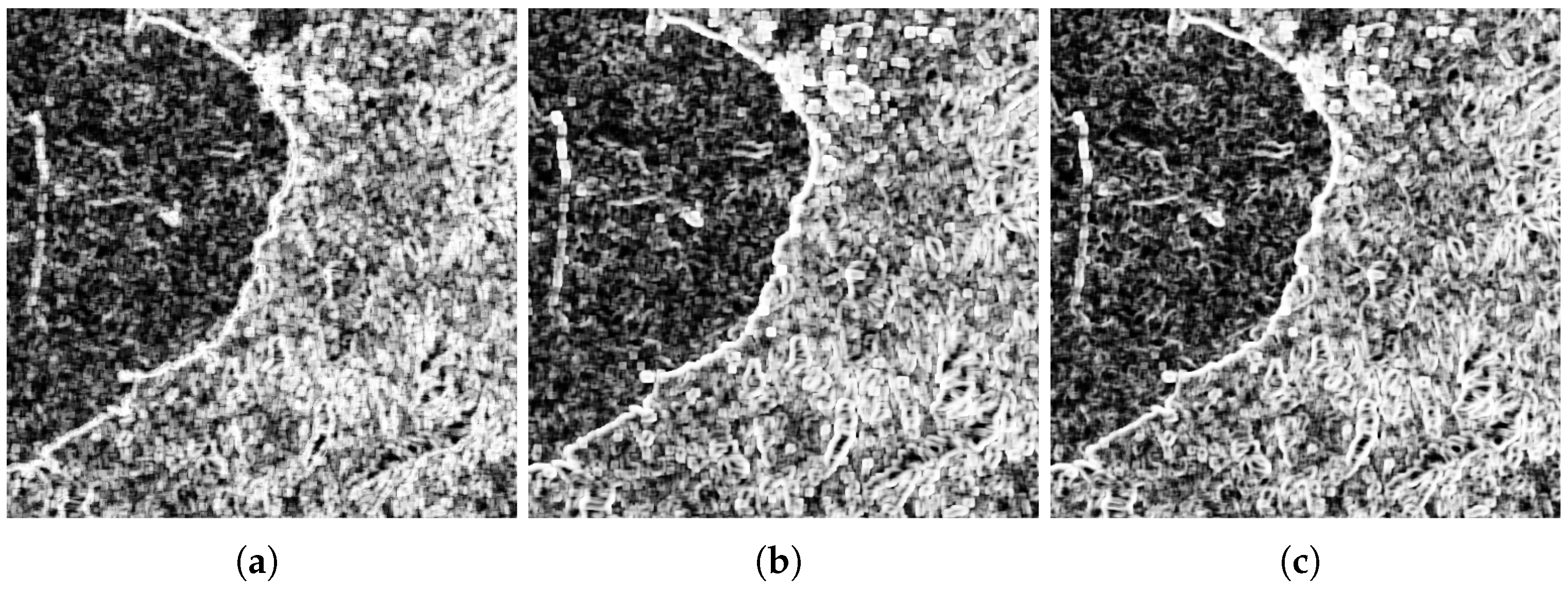 Remotesensing 16 01973 g016