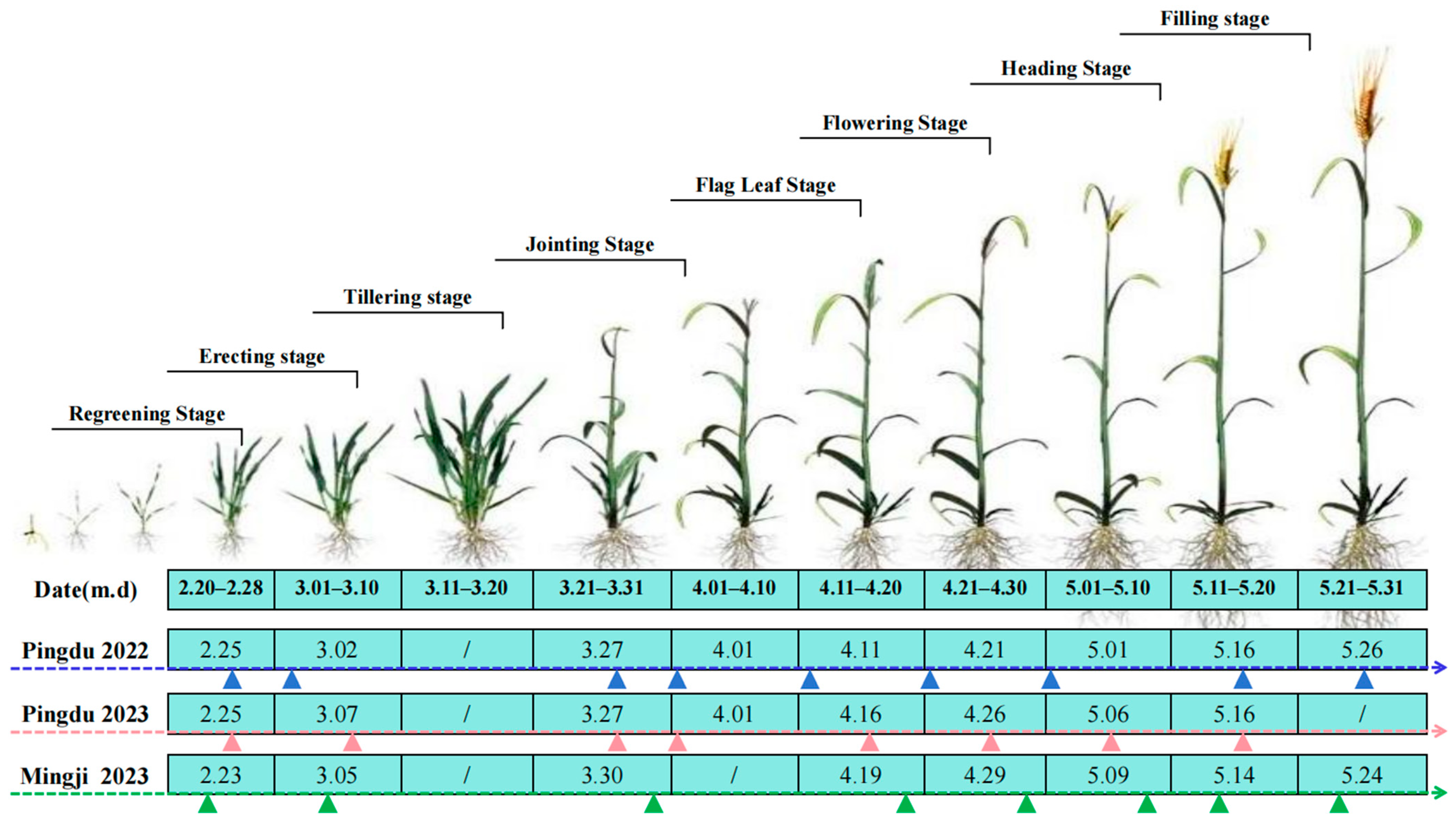 Remotesensing 16 01995 g002