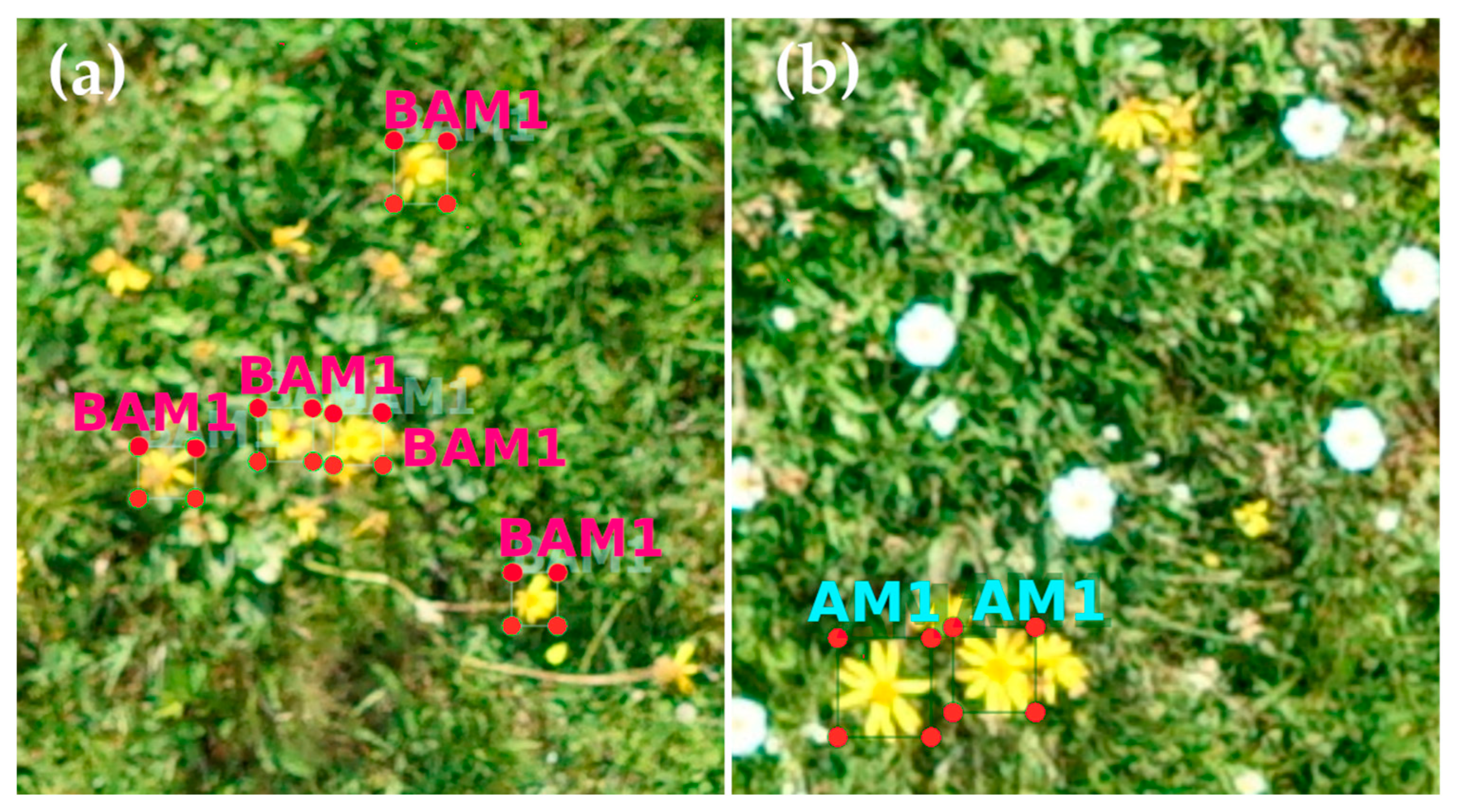 Remotesensing 16 02012 g001