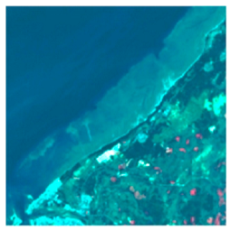 Remotesensing 16 02076 i002