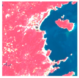 Remotesensing 16 02076 i003