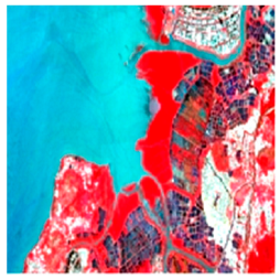 Remotesensing 16 02076 i004