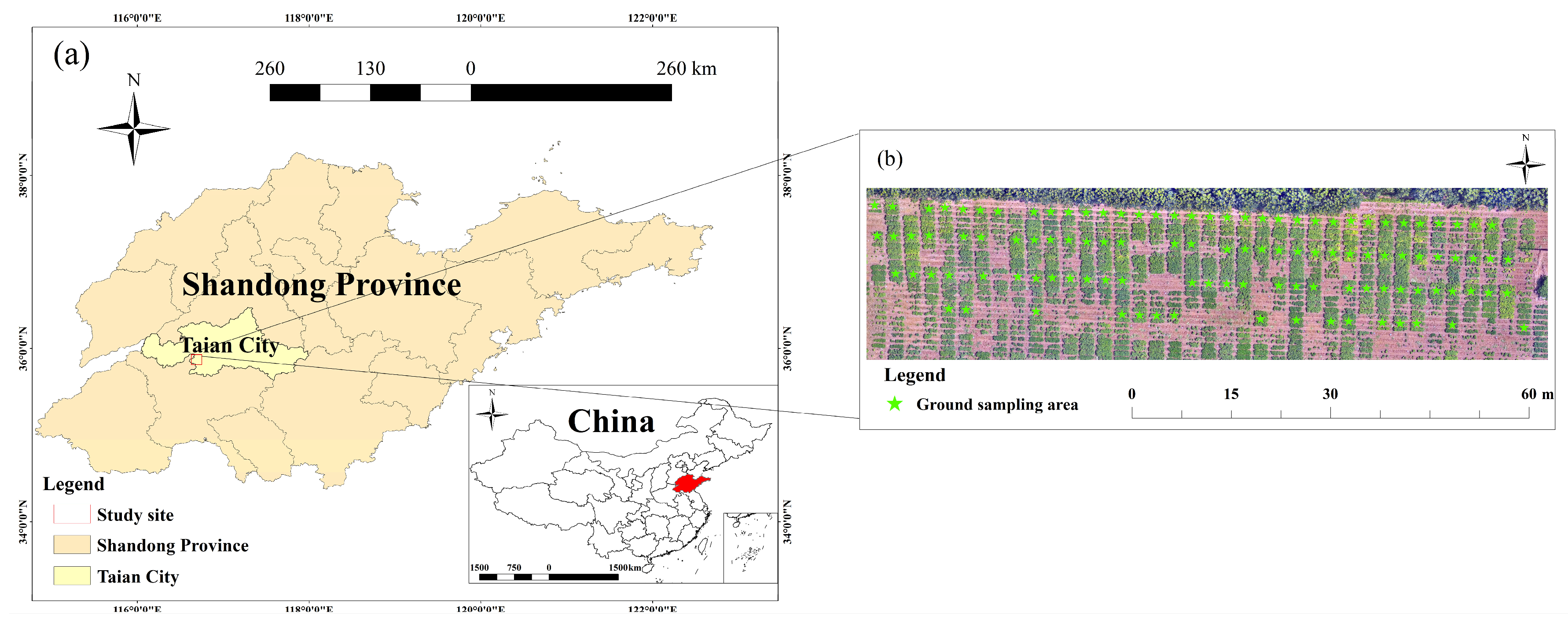 Remotesensing 16 02182 g001