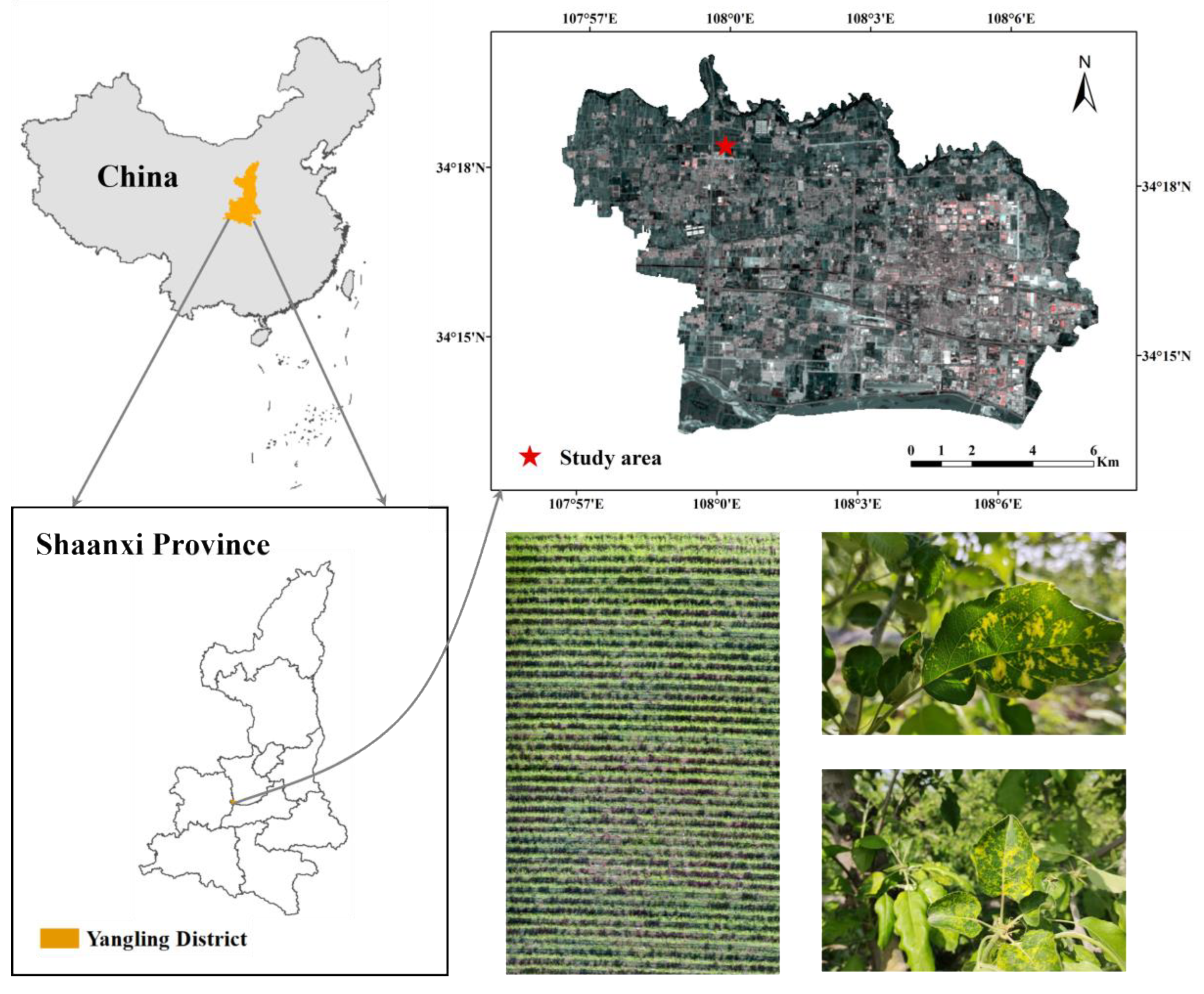 Remotesensing 16 02190 g001 Remotesensing 16 02190 g001