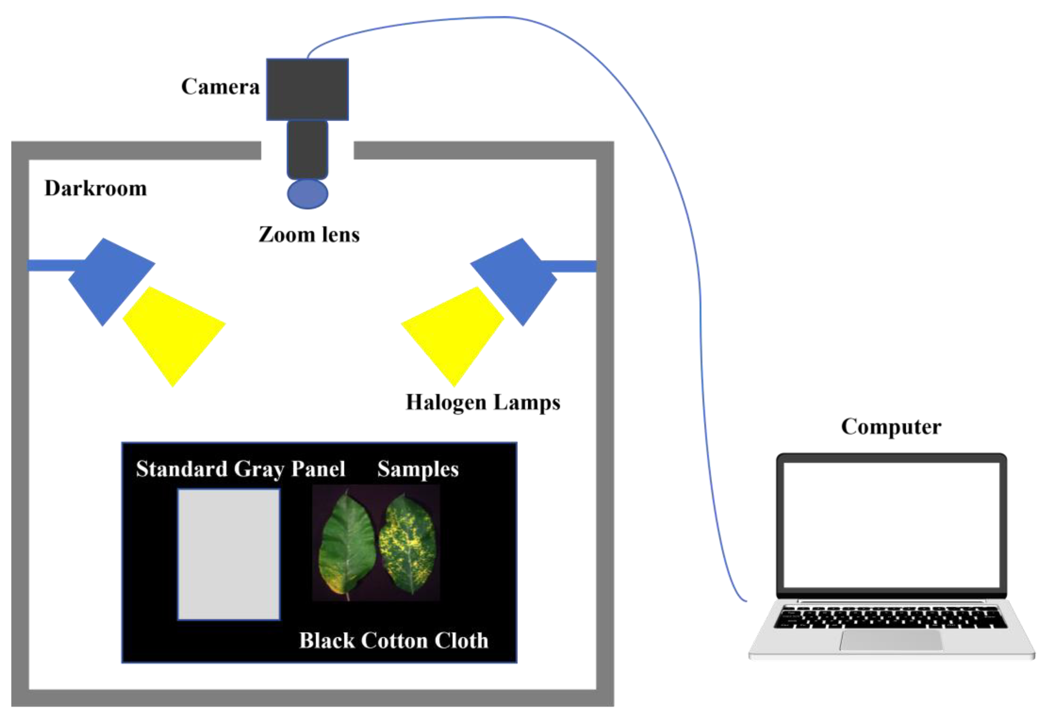 Remotesensing 16 02190 g002 Remotesensing 16 02190 g002