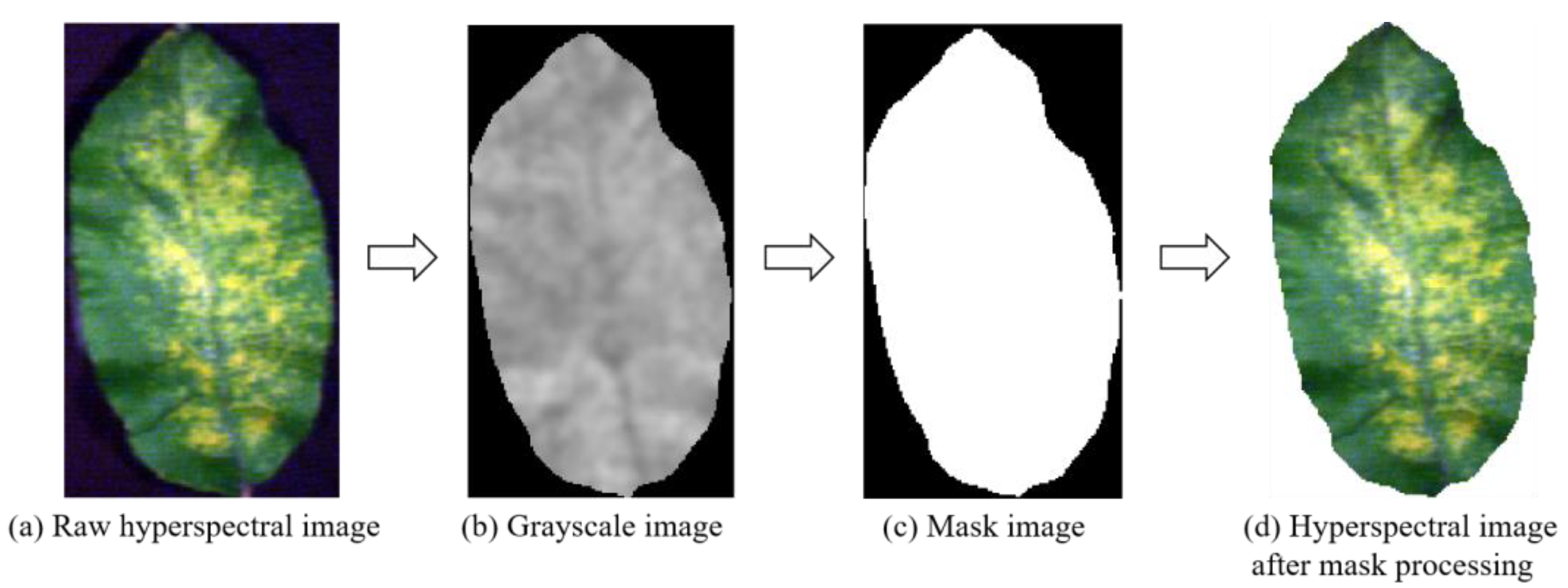 Remotesensing 16 02190 g004 Remotesensing 16 02190 g004