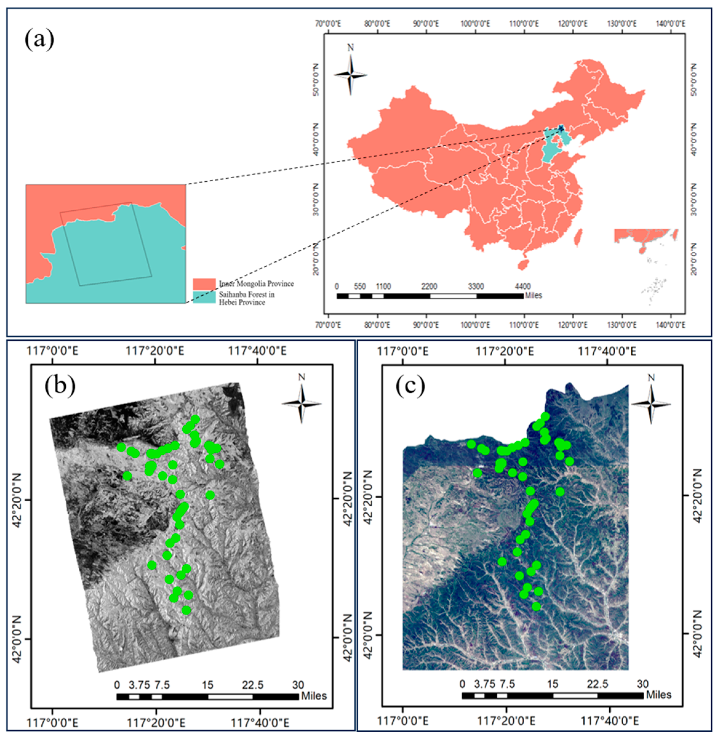 Remotesensing 16 02250 g001 Remotesensing 16 02250 g001