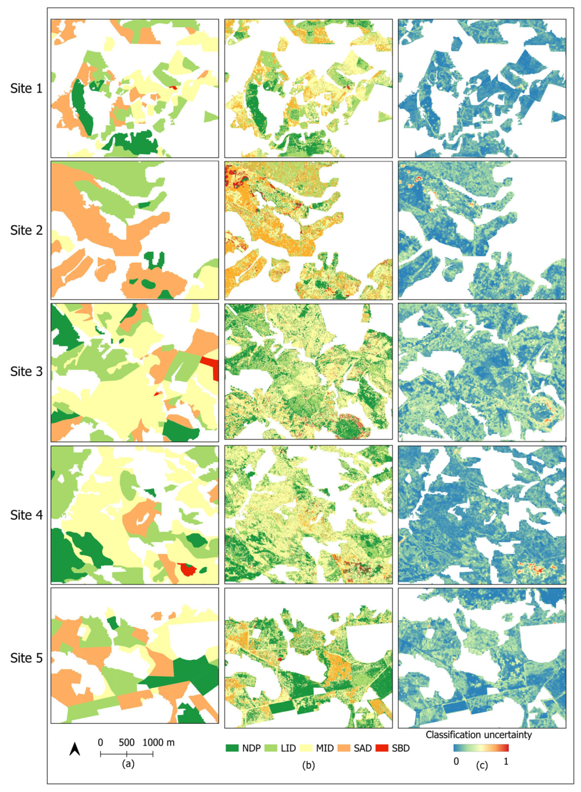 Remotesensing 16 02256 g013