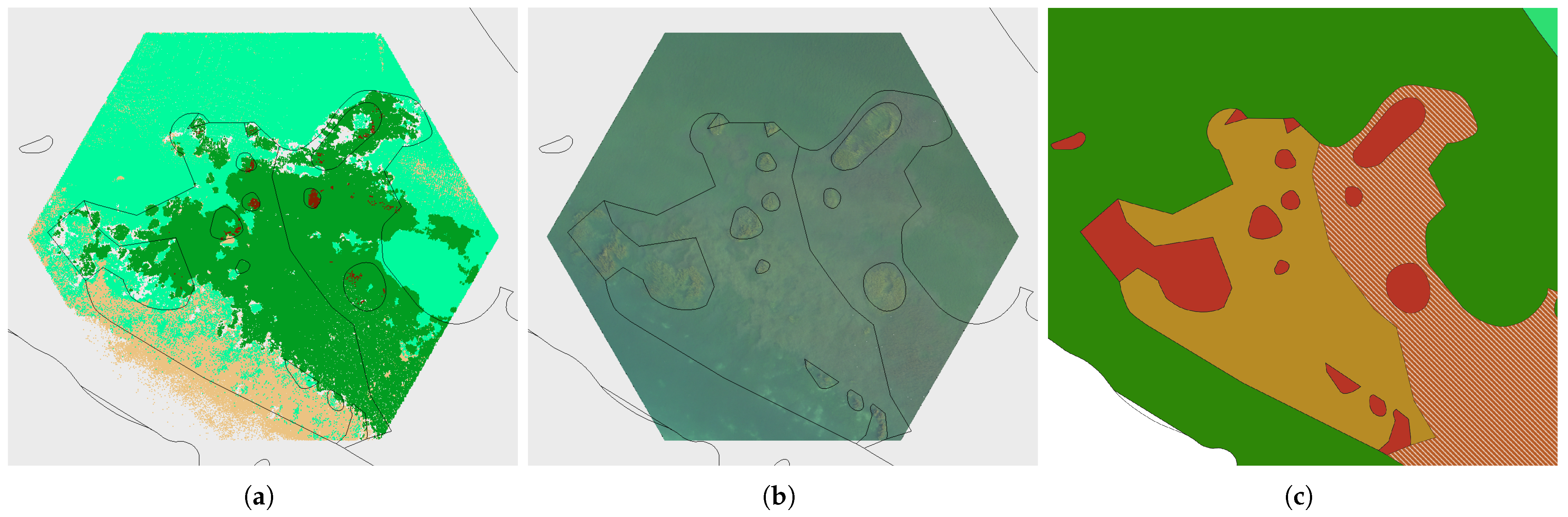 Remotesensing 16 02257 g011