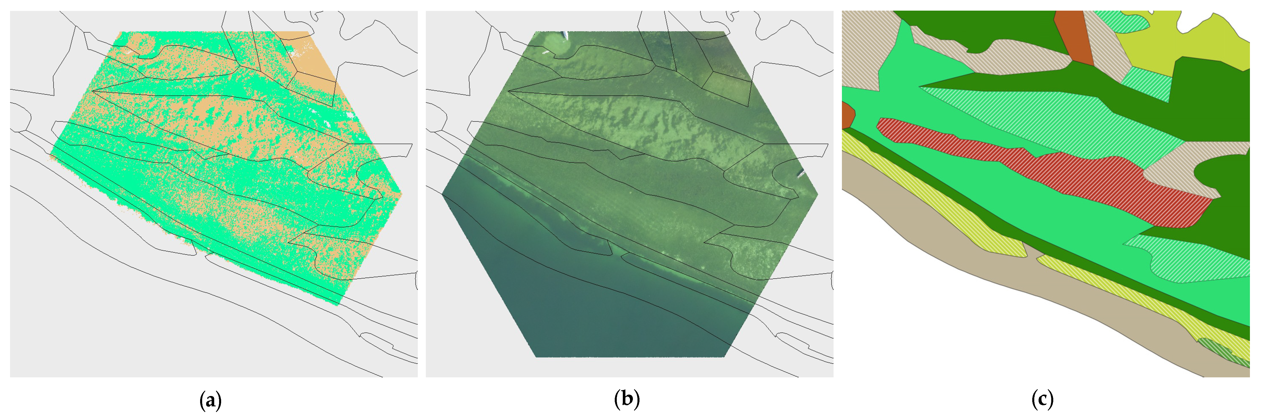 Remotesensing 16 02257 g0a4