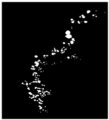 Remotesensing 16 02264 i001