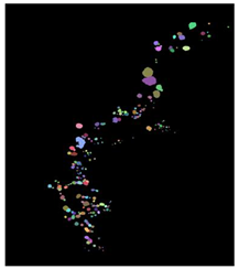 Remotesensing 16 02264 i002