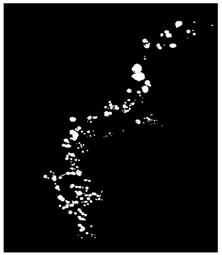 Remotesensing 16 02264 i003