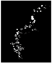 Remotesensing 16 02264 i007