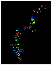 Remotesensing 16 02264 i008