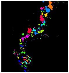 Remotesensing 16 02264 i016