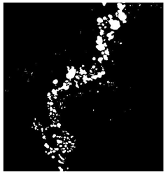 Remotesensing 16 02264 i017