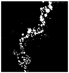 Remotesensing 16 02264 i021