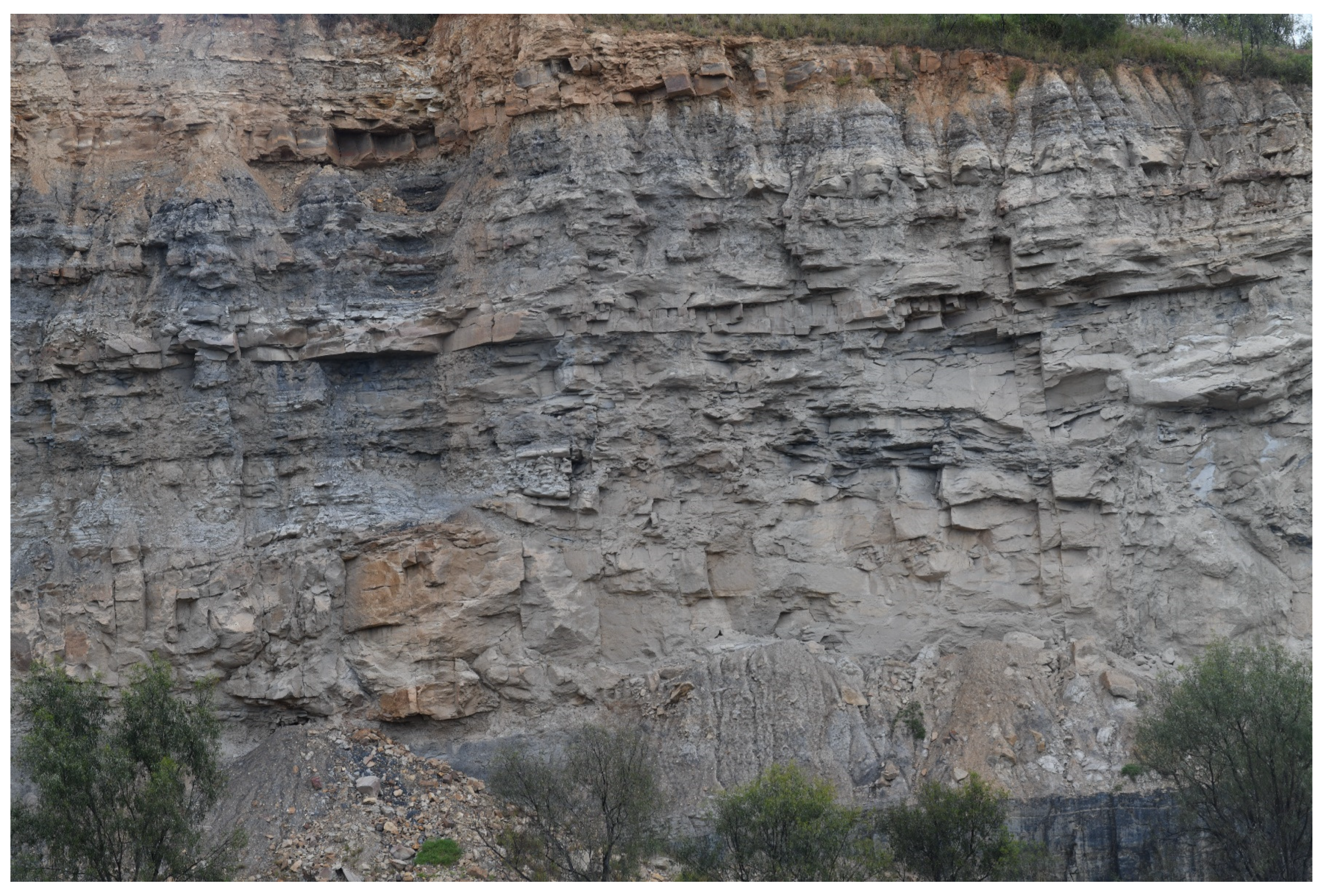 Remotesensing 16 02281 g007