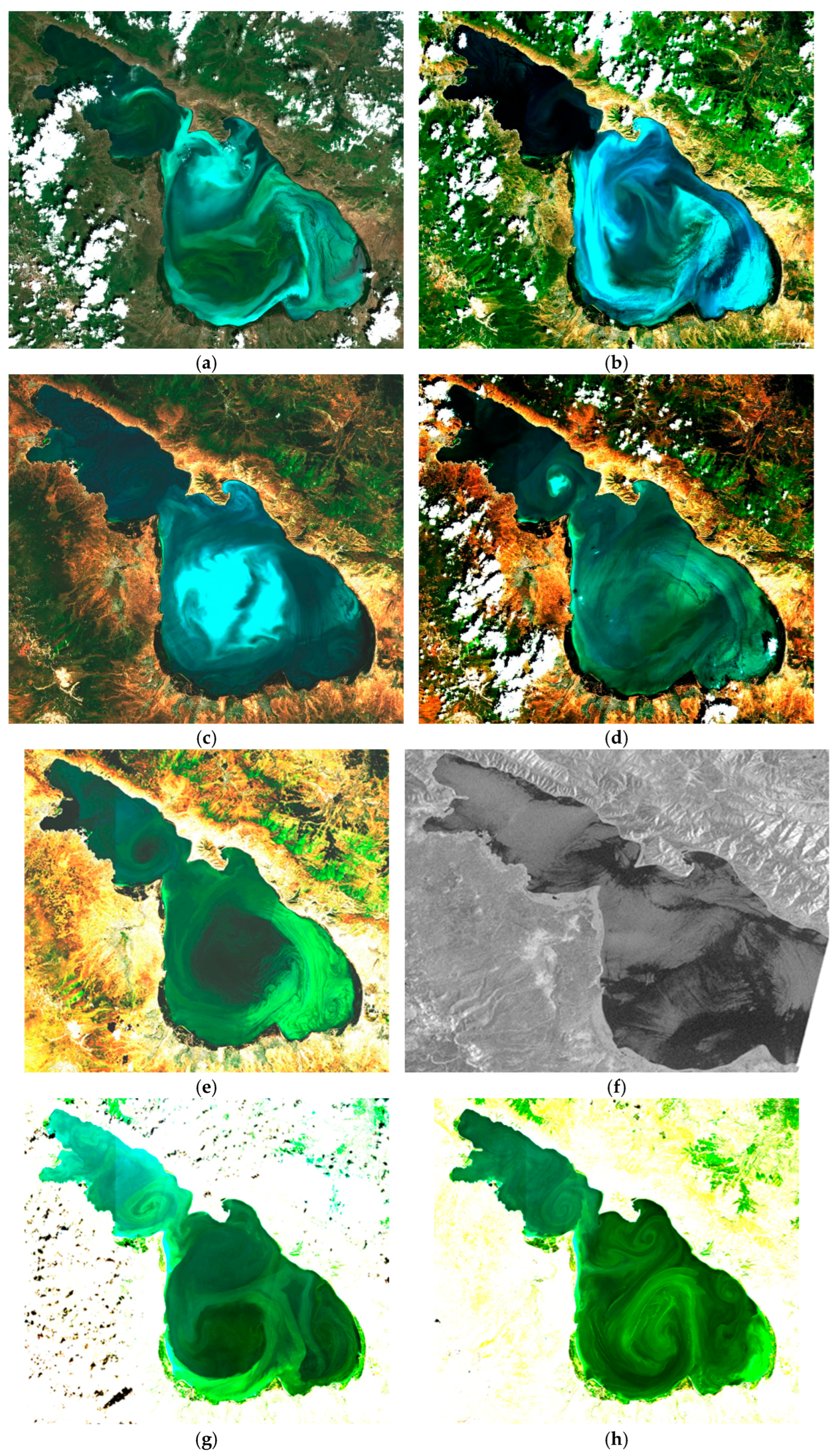 Remotesensing 16 02285 g004a Remotesensing 16 02285 g004a