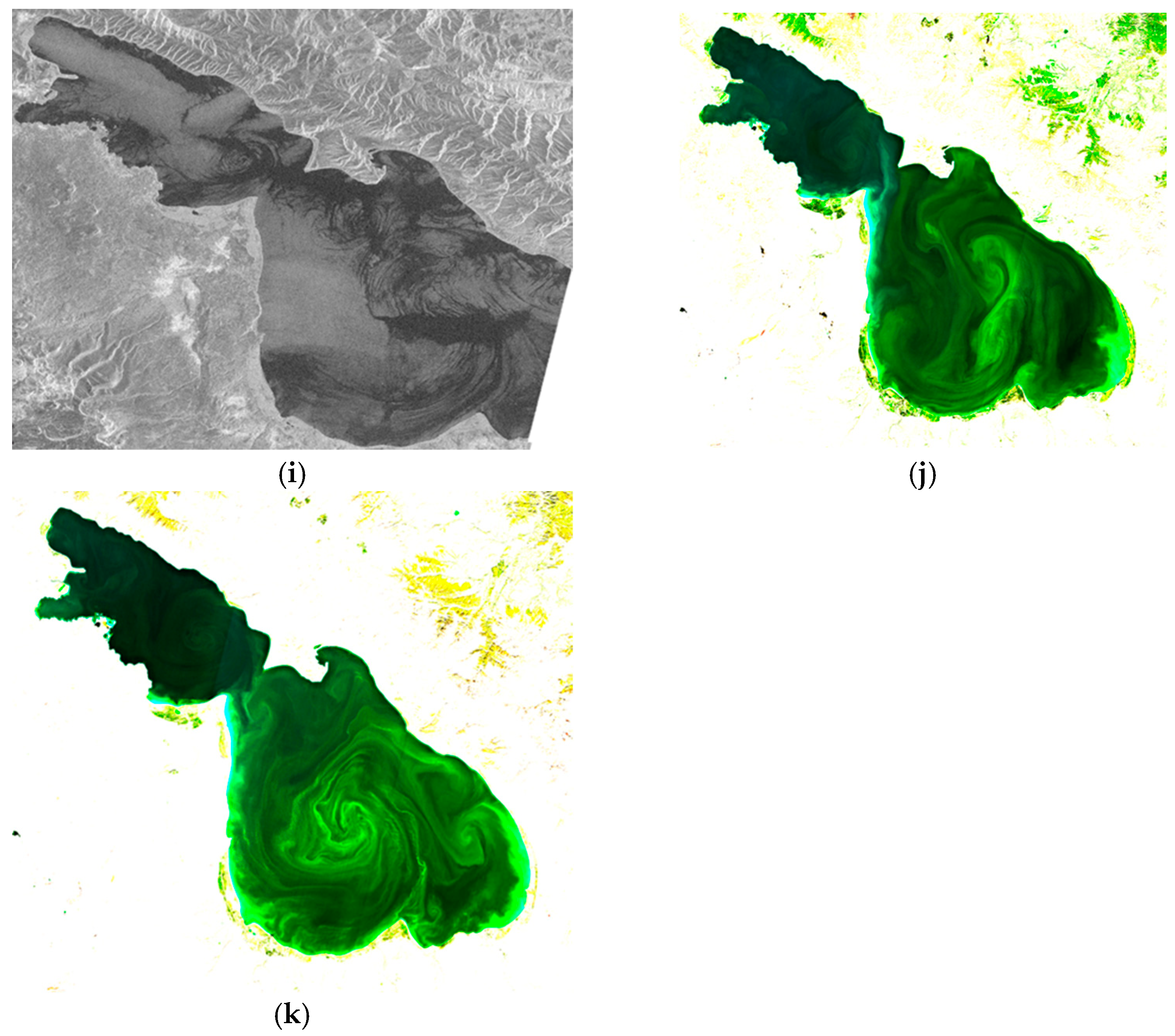 Remotesensing 16 02285 g004b Remotesensing 16 02285 g004b