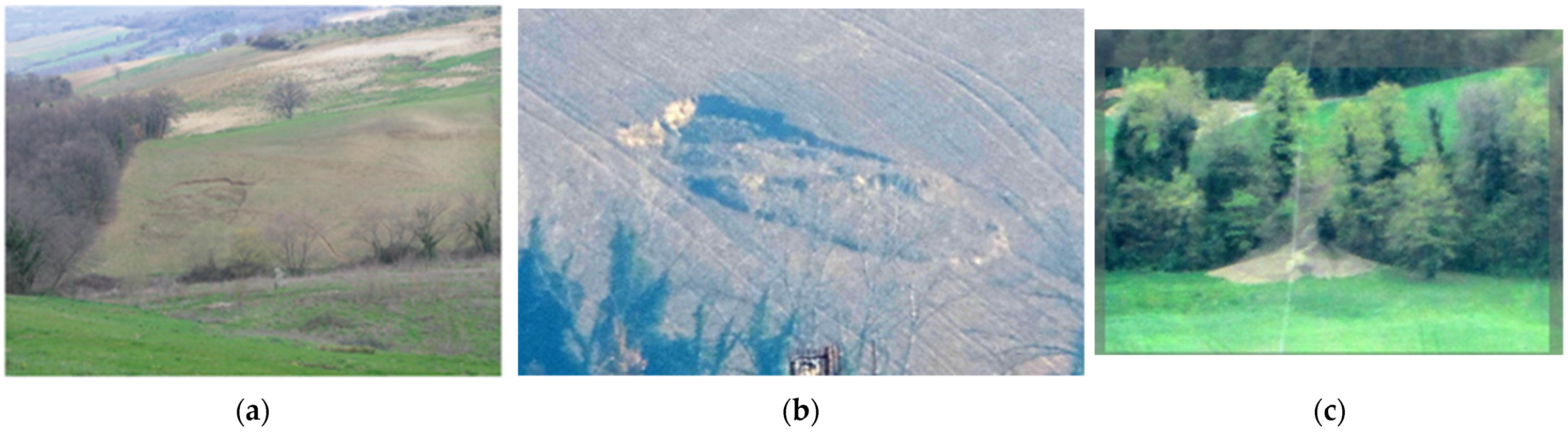 Remotesensing 16 02286 g002