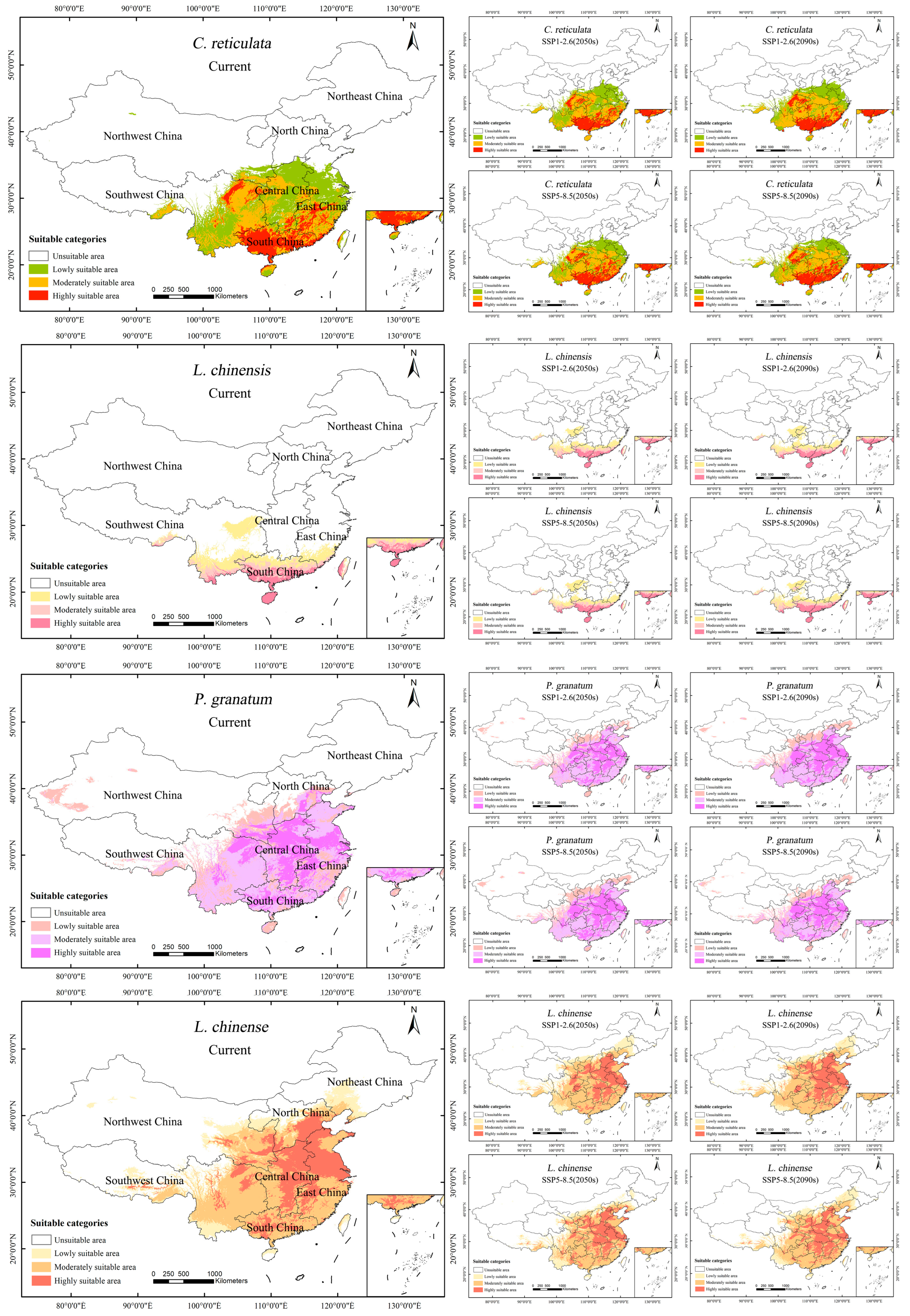 Remotesensing 16 02338 g006