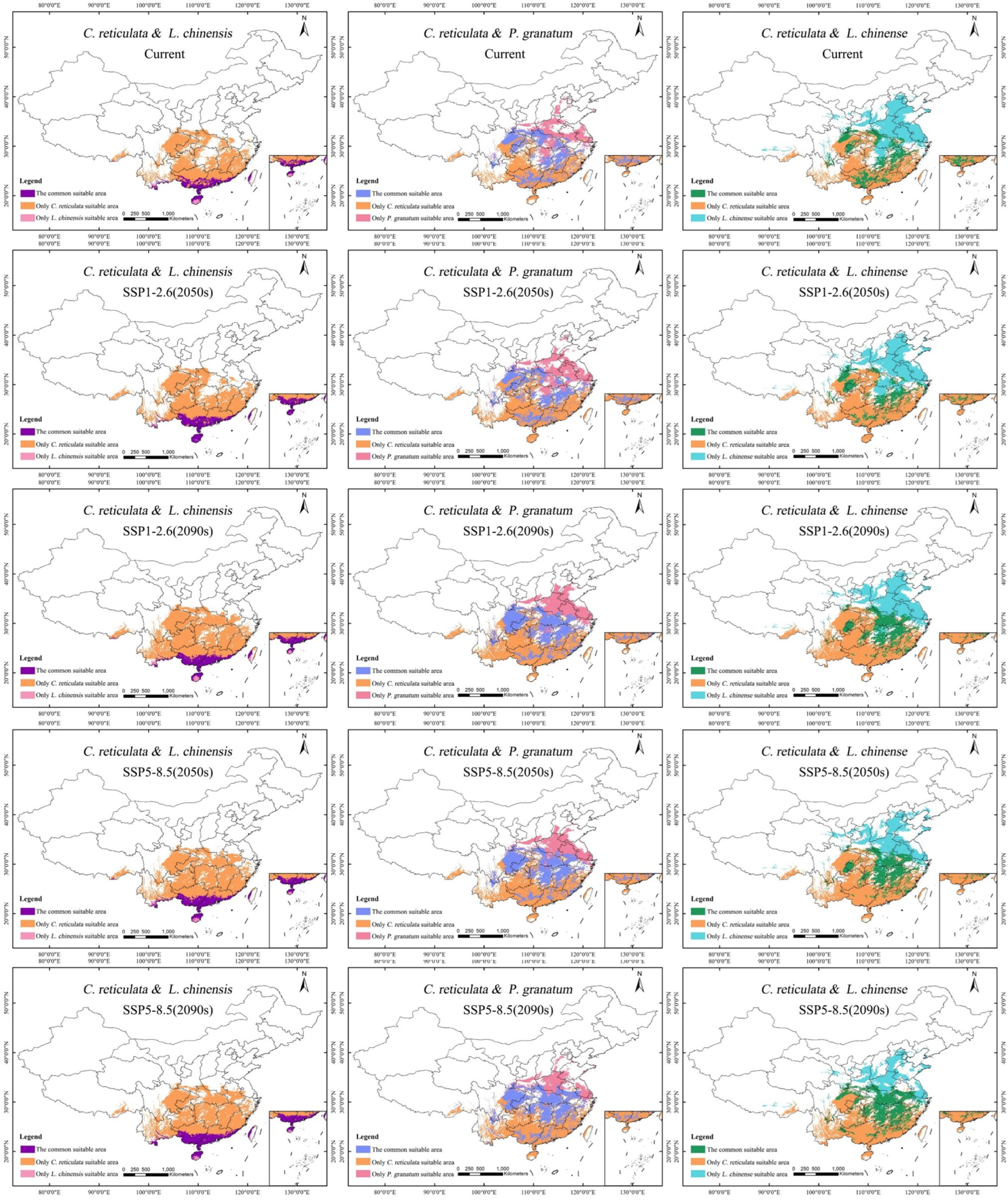 Remotesensing 16 02338 g007