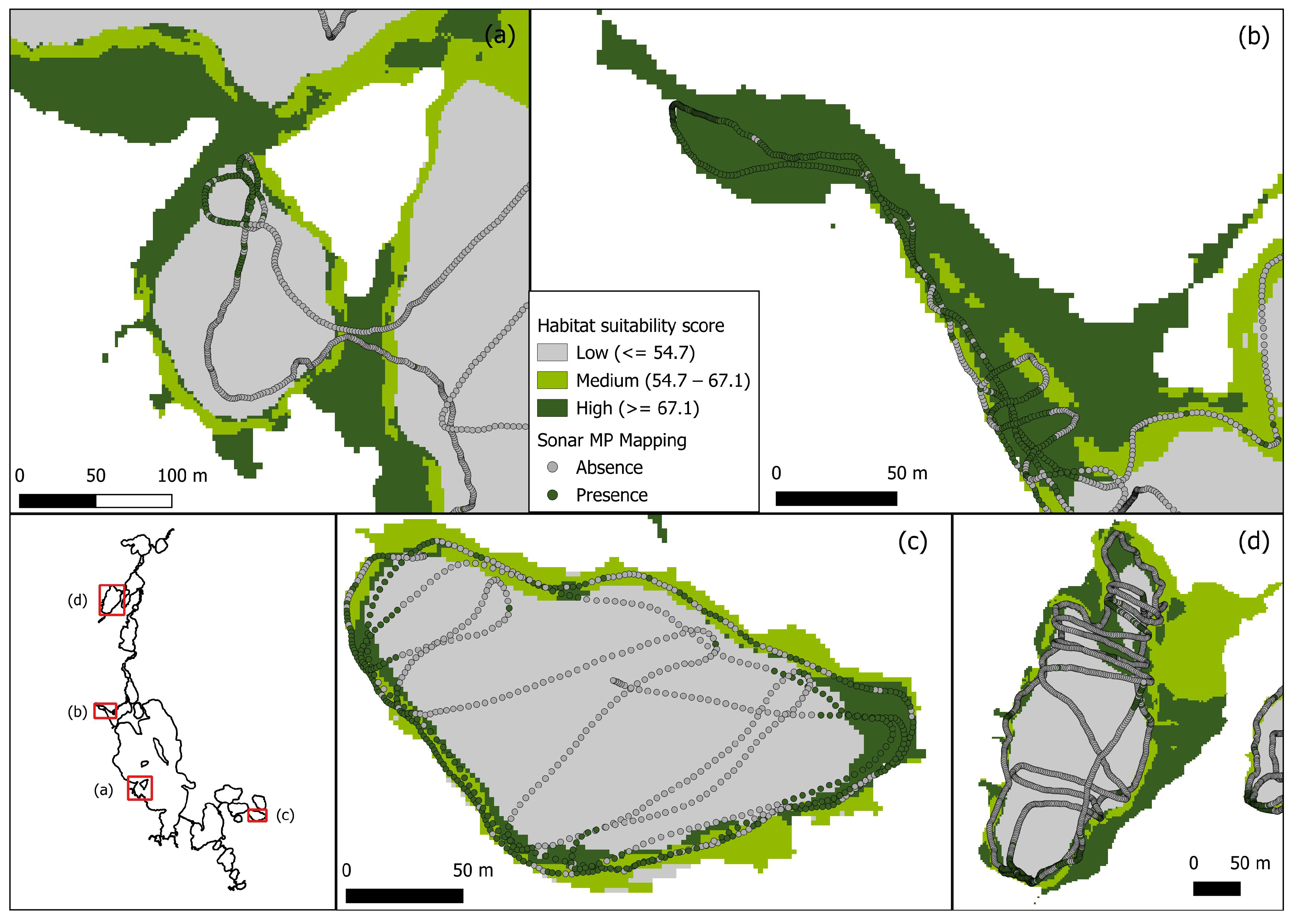Remotesensing 16 02339 g009