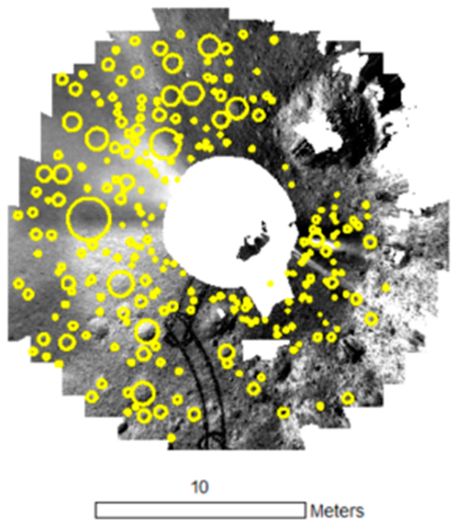 Remotesensing 16 02356 g007