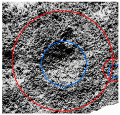 Remotesensing 16 02356 i001