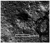 Remotesensing 16 02359 i015