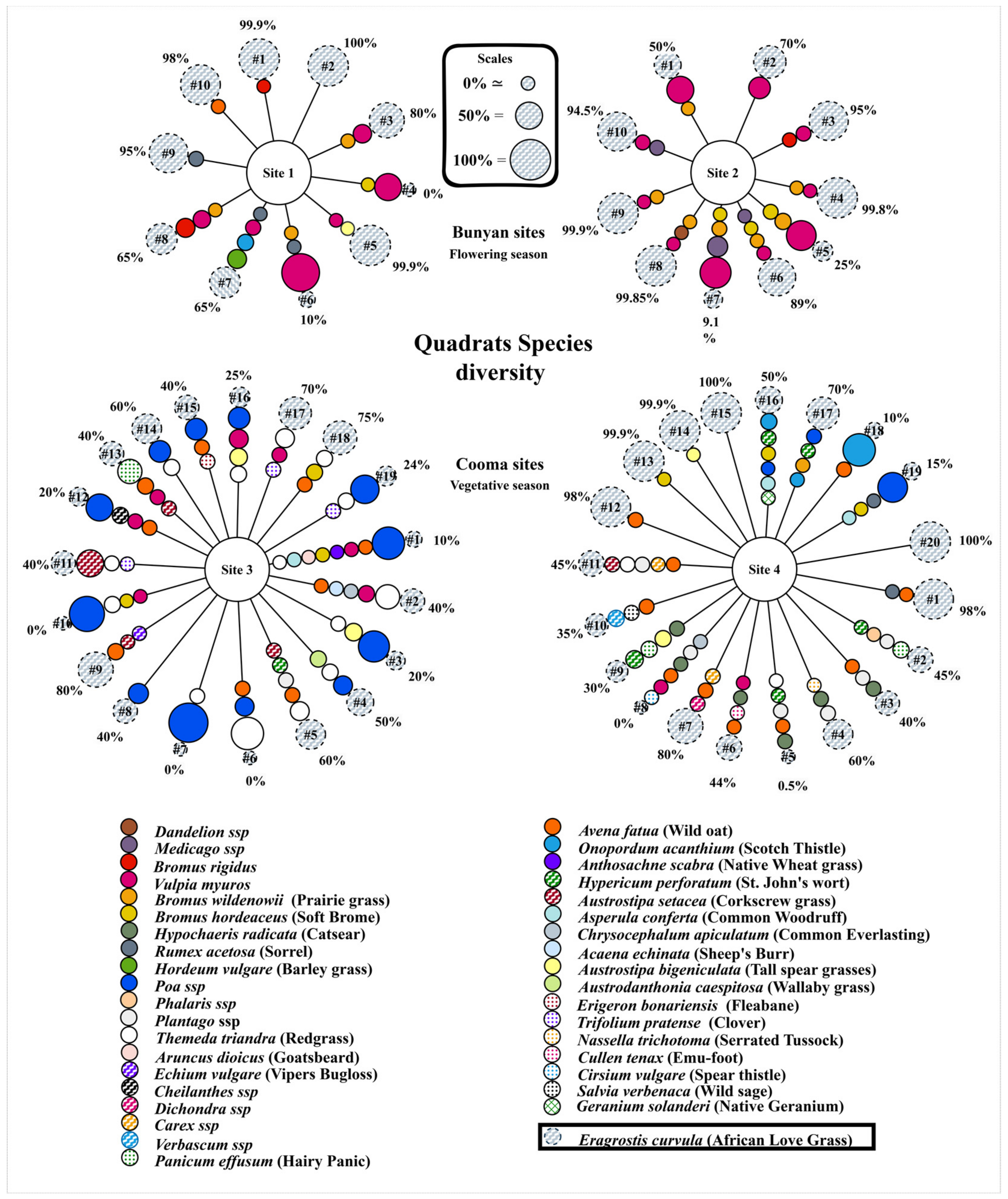Remotesensing 16 02363 g003