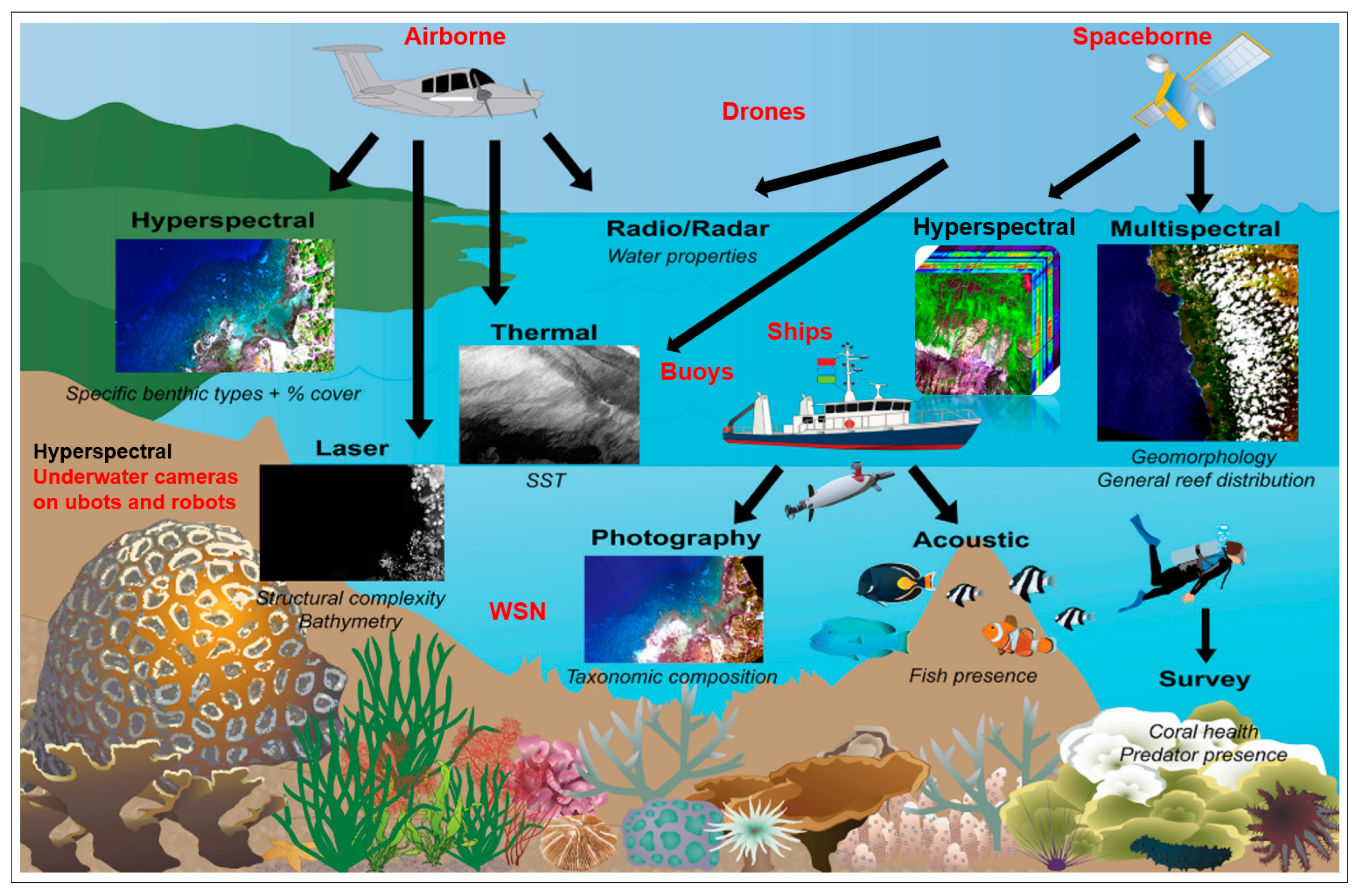 Remotesensing 16 02425 g003