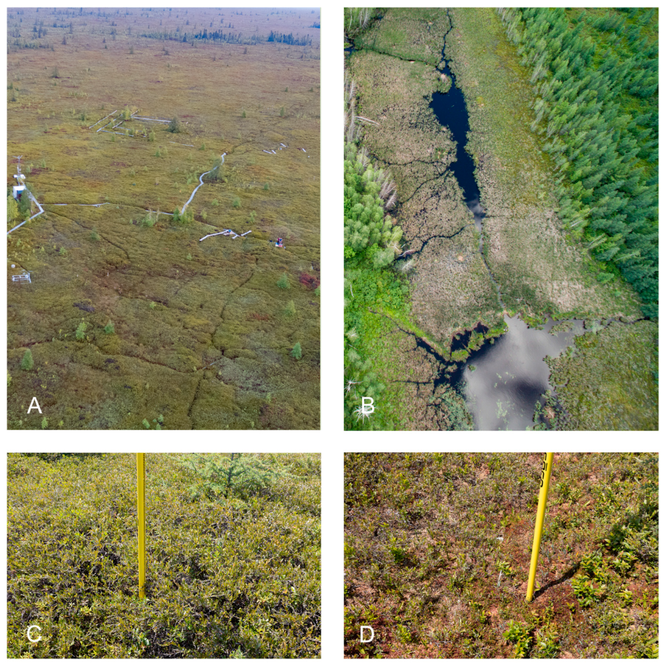 Remotesensing 16 02463 g001